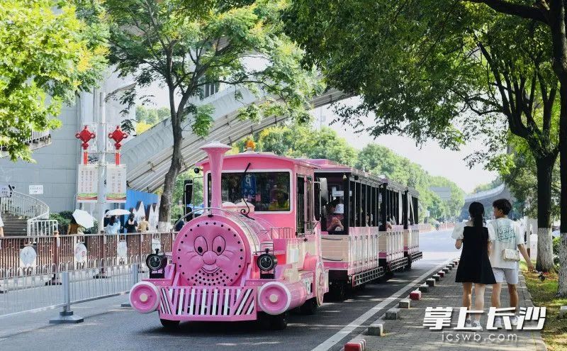 这批粉红色小火车共10台，2台已“上岗”，剩余的8台将于国庆节前全部投入运营。