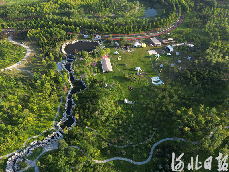 图为唐山花海南区一角。