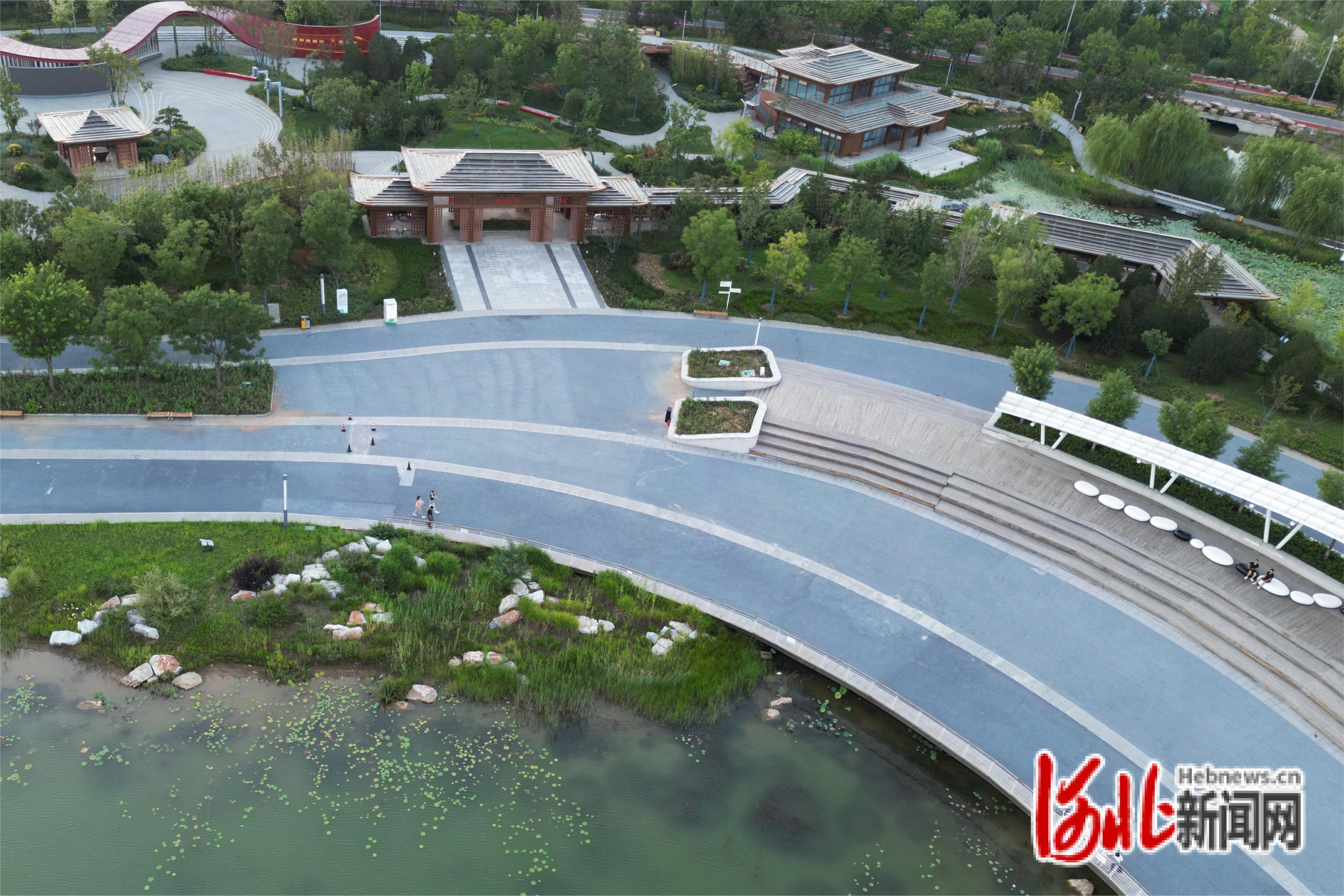 图为市民在唐山花海进行晨练。