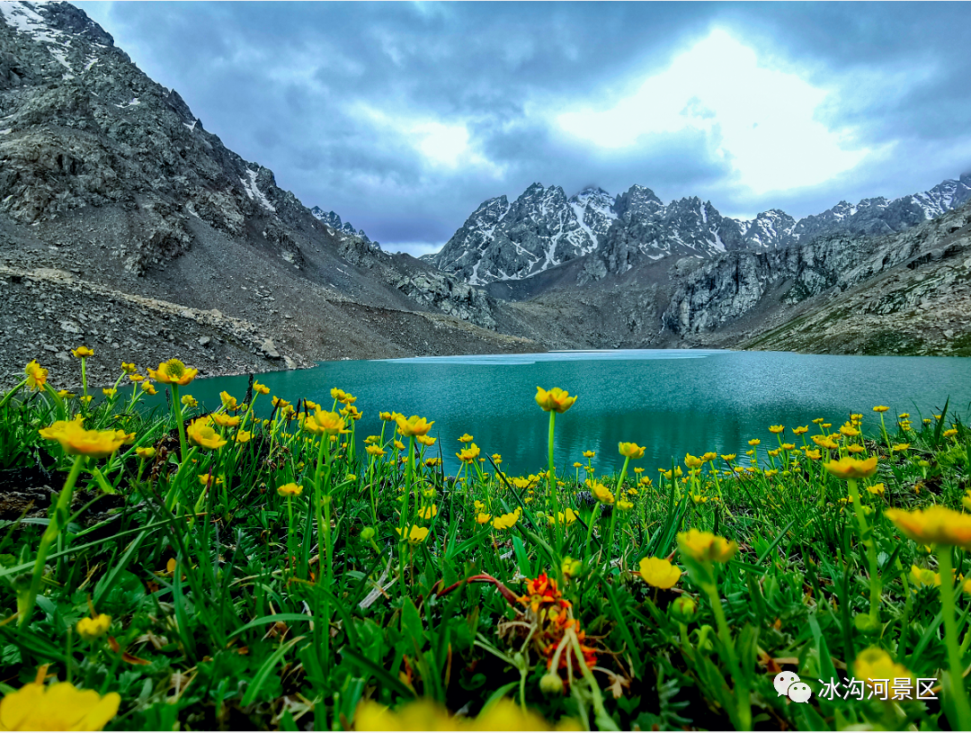 这份超酷的武威旅游攻略请收好!
