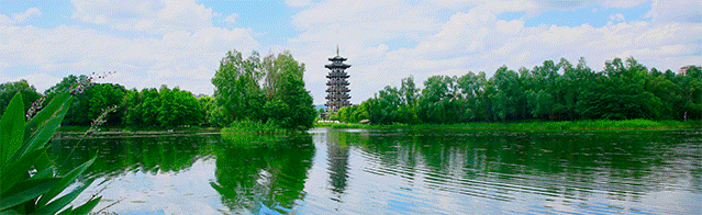 河清岸绿好风光！走，出门散步去