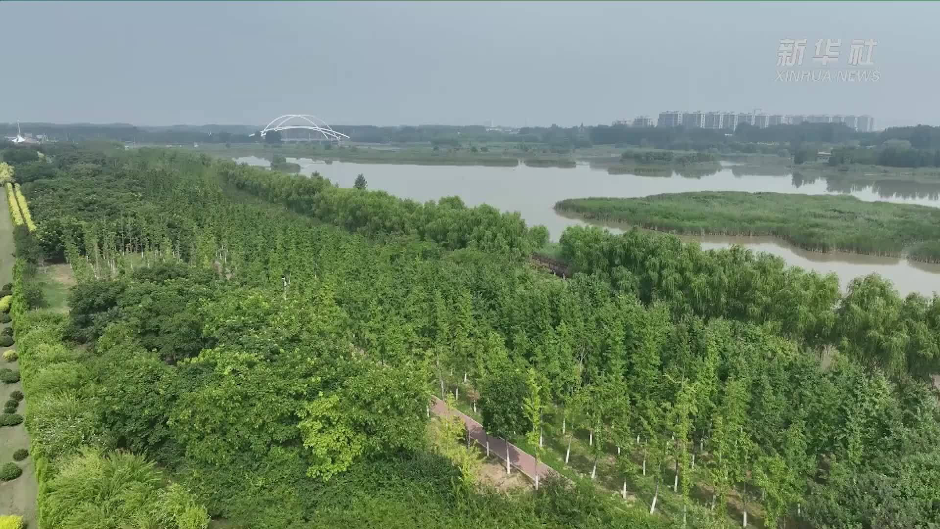 河南濮阳：生态修复让湿地公园换新颜