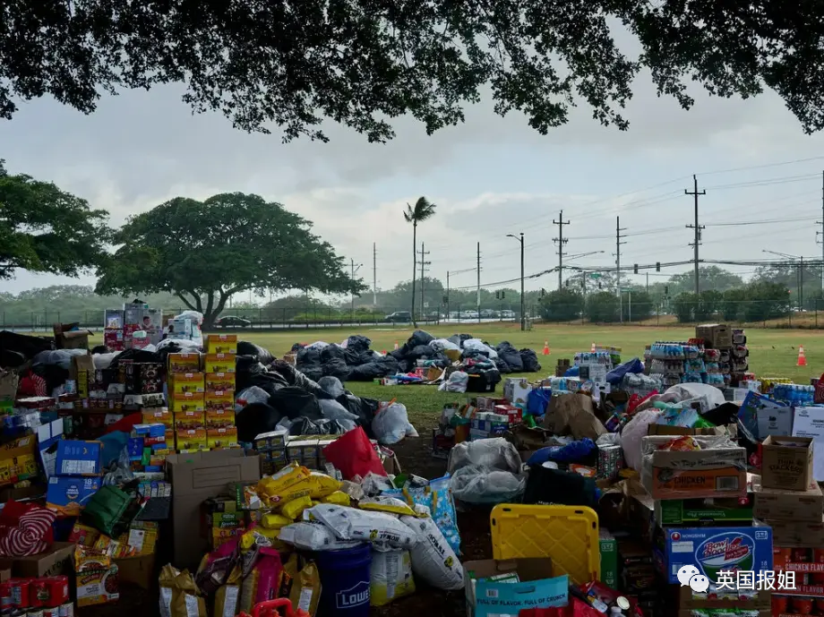 人间炼狱！夏威夷史上最恐怖山火，89人惨死，无数人跳海逃生，小镇一夜之间烧成灰烬,第50张