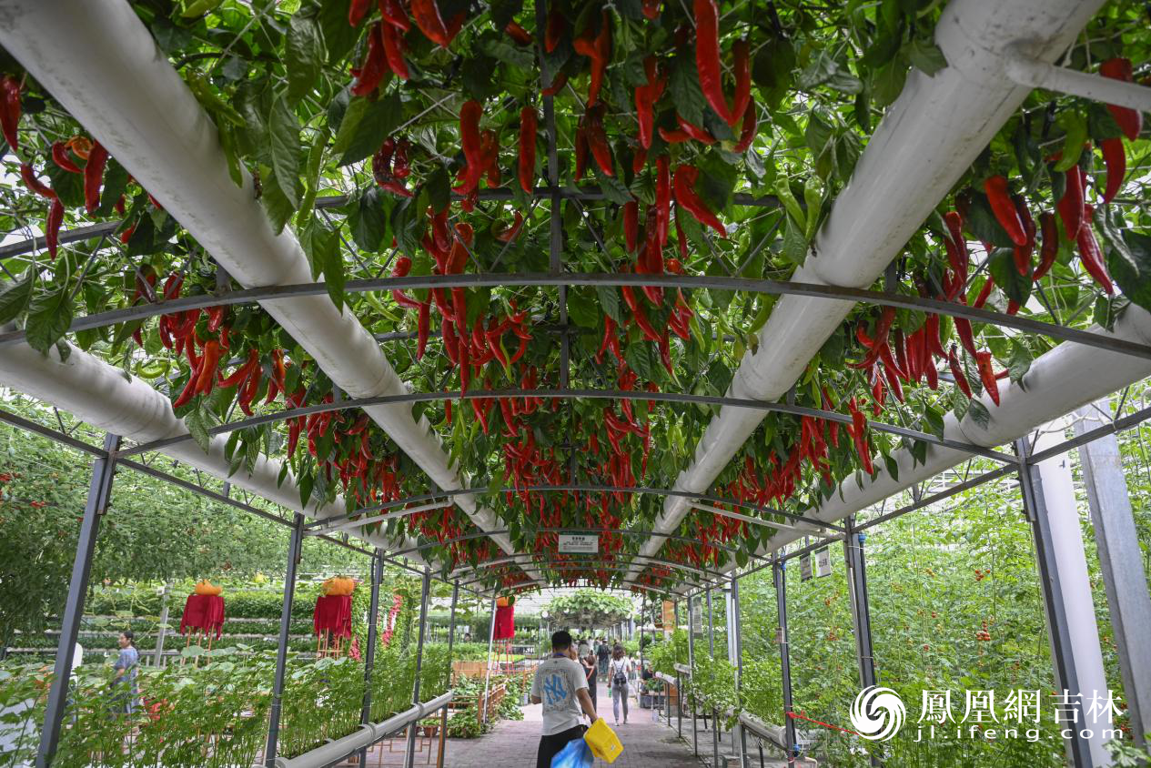 第二十二届中国长春国际农业&middot;食品博览（交易）会现场。