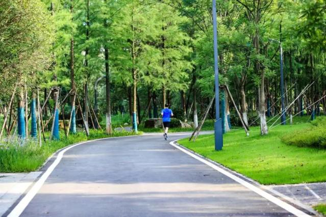 河清岸绿好风光！走，出门散步去
