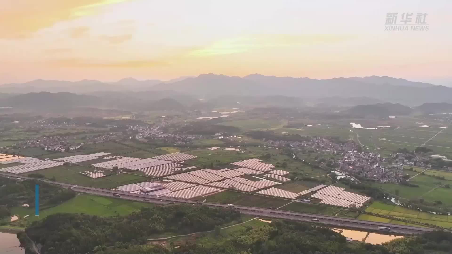 浙江衢州：“鸟线双护”保护湿地生物多样性