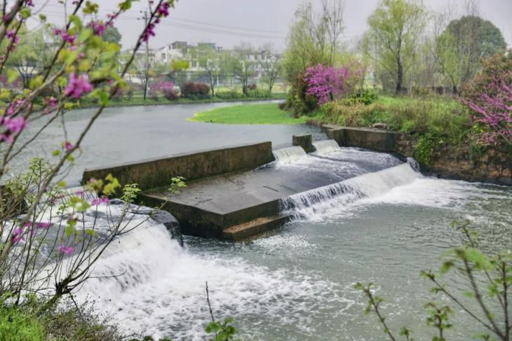 河清岸绿好风光！走，出门散步去