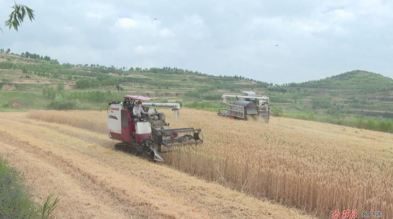 暴风截图2023811116441953