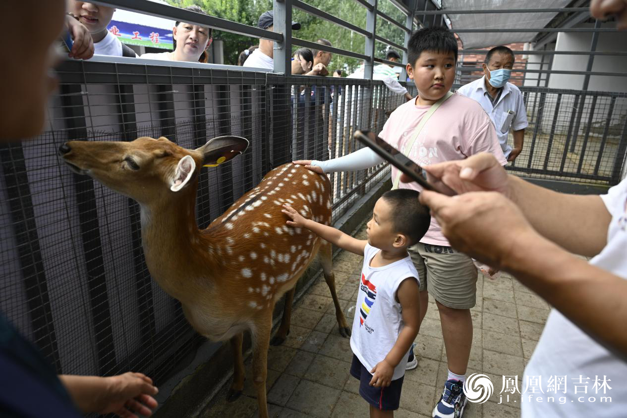 第二十二届中国长春国际农业&middot;食品博览（交易）会现场。