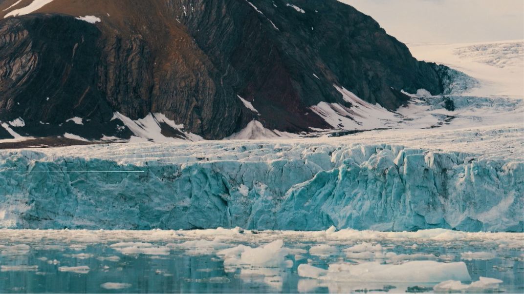 《香港自然故事》，探索人与自然的共生之道