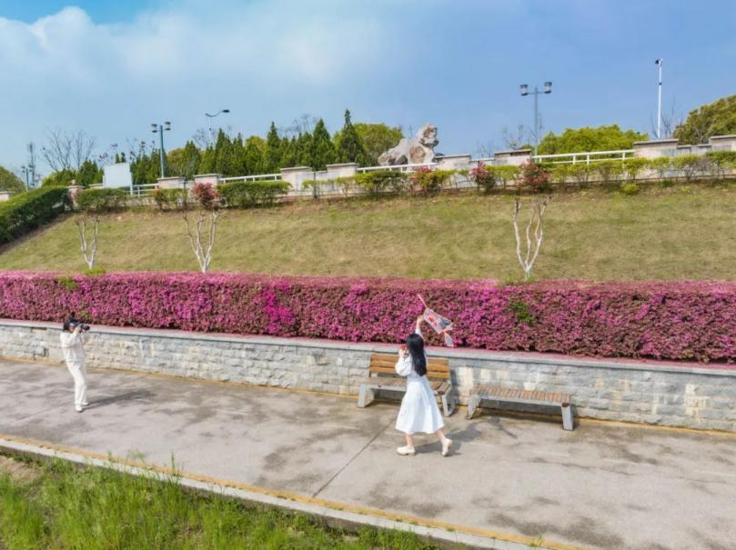 河清岸绿好风光！走，出门散步去