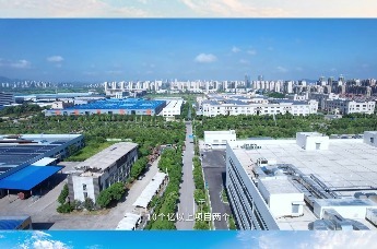 不负新时代 拼出新姿态丨宣城市2023“年中讲”-十字镇副镇长高伟专访