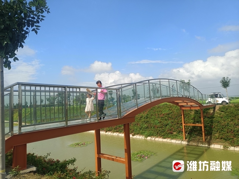 河上的玻璃栈桥