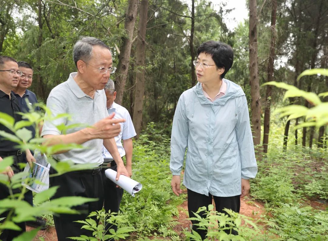 成都市委书记施小琳图片