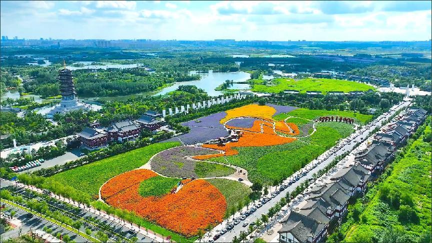 北湖花海游人如织