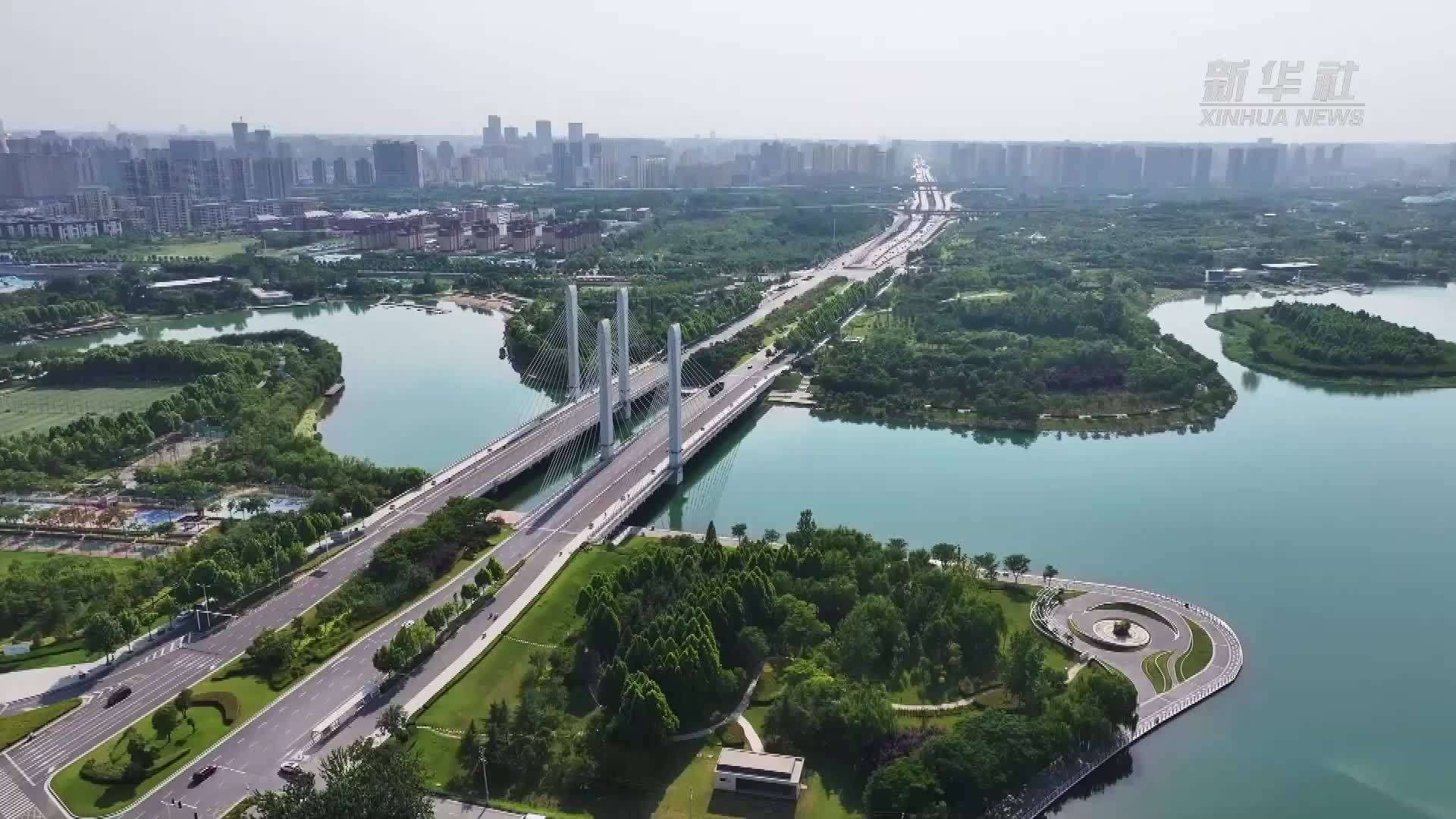 郑州龙湖湿地：荒草鱼塘“变身”生态家园