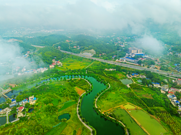 河清岸绿好风光！走，出门散步去