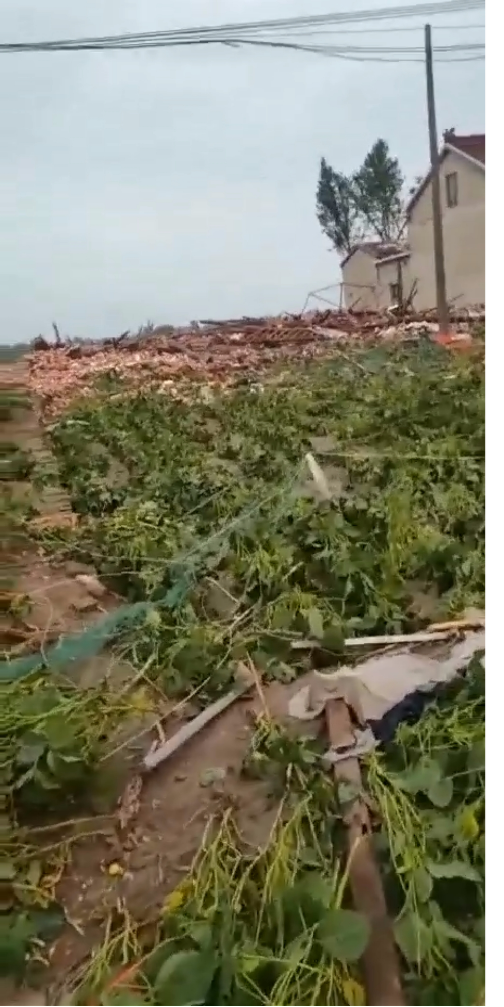 盐城市大丰区遭受龙卷风侵袭，有村民受伤房屋受损