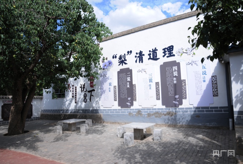 当地人将“说事”场所搬到古梨树下（央广网记者 李红军 摄）