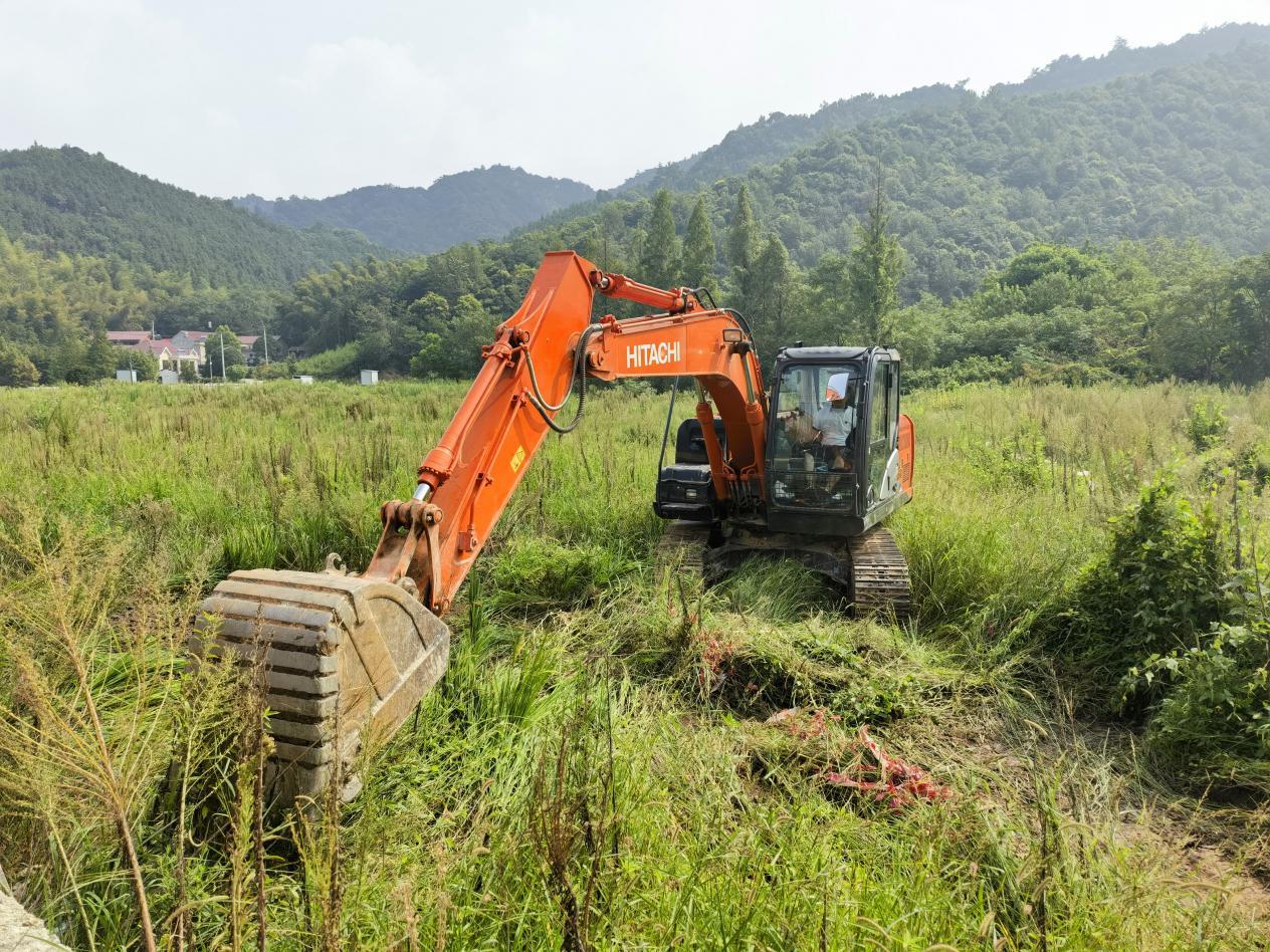 PG电子网站 PG电子安徽东至县香隅镇：“鱼菜共生”为山区引来“一池活水”(图3)