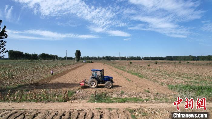 8月18日，河北省涿州市刁窝镇小豹子庄村正在复耕。(无人机航拍照片) 中新社记者 翟羽佳 摄