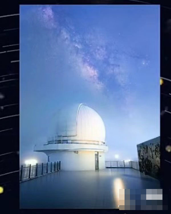 参赛者作品图片