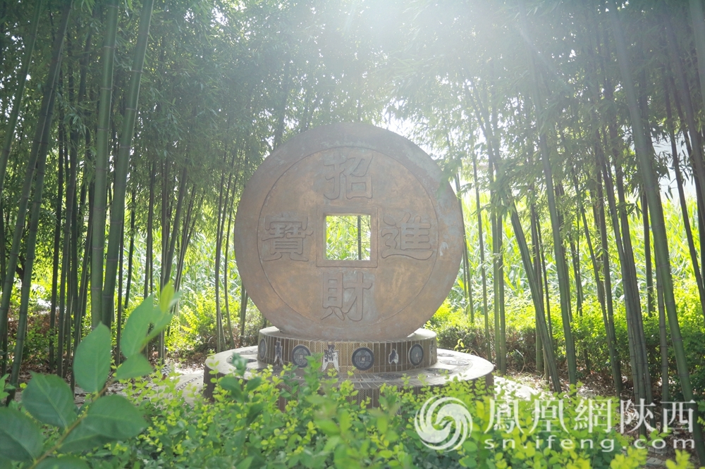 发现金台之美丨农旅融合促发展 谱写乡村振兴新篇章