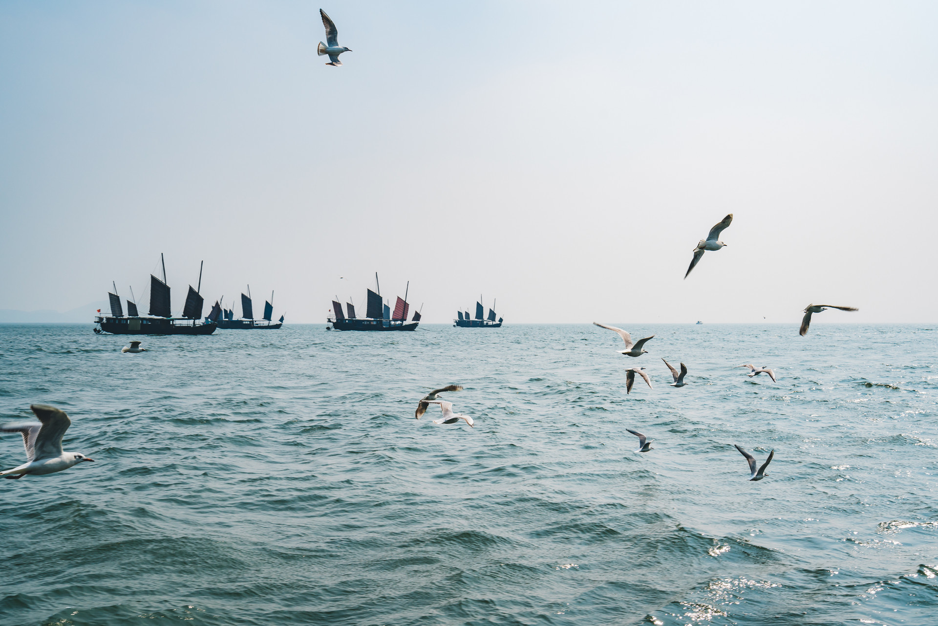 无锡锡山⇋德国，跨越山海、合作共赢！