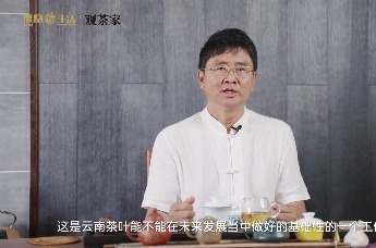 周红杰 | 育茶树人,是热爱,更是使命_凤凰网视频_凤凰网