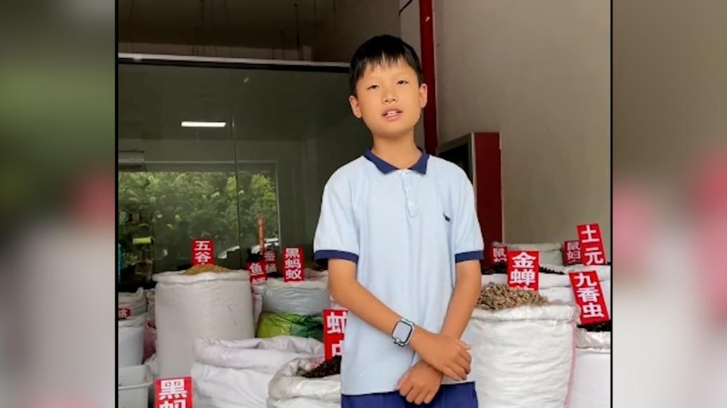 亳州11岁男孩用英语流利介绍家乡