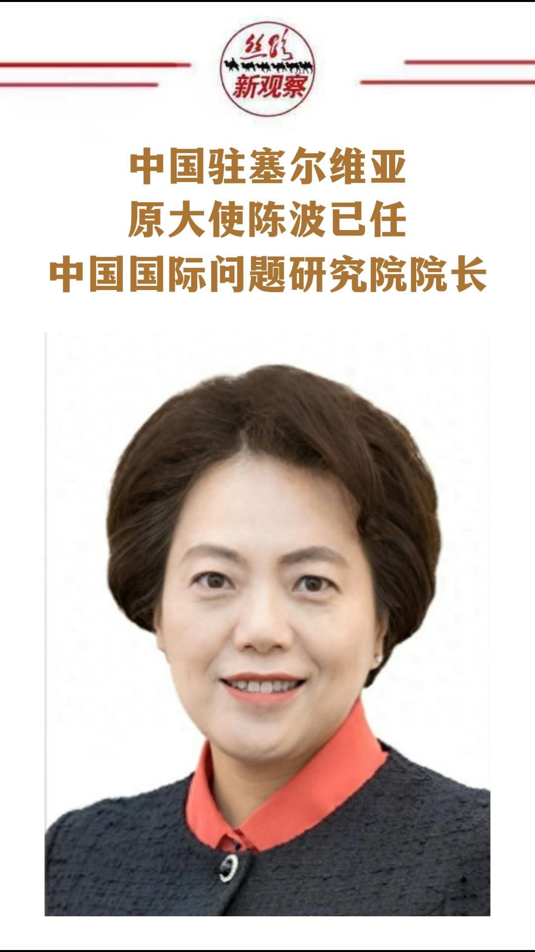 中国驻塞尔维亚原大使陈波已任中国国际问题研究院院长 #干部任免_凤凰网视频_凤凰网