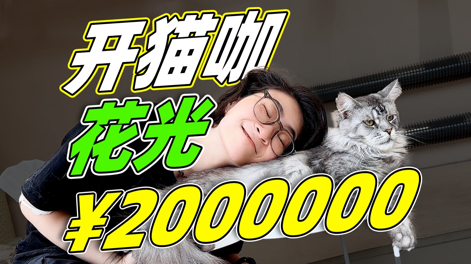 成本飙升200万，开猫咖凭啥比咖啡店贵这么多？