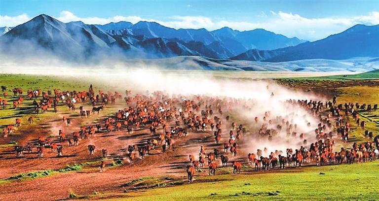 万马奔腾 （资料图）