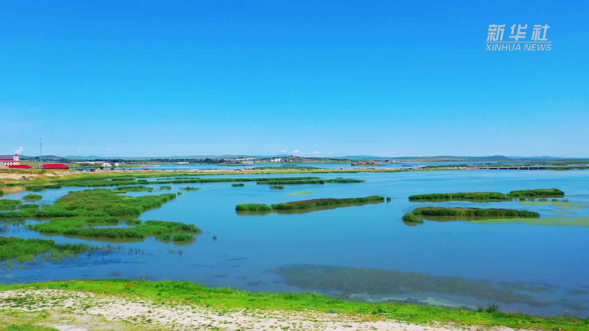 千城胜景｜呼伦贝尔市扎赉诺尔区：生态美 鸟儿欢