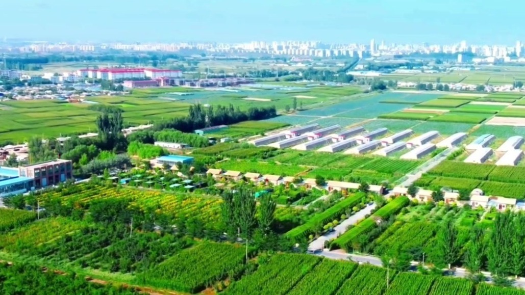 特色产业遍地开花 肃州“农”墨重彩谱“兴”篇