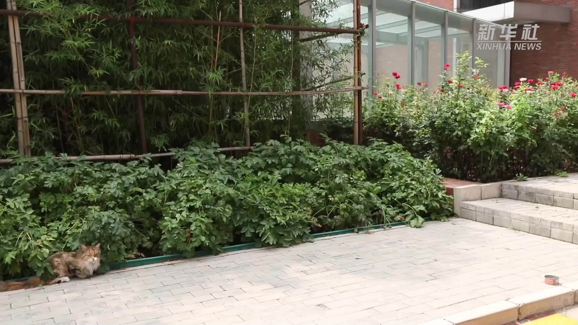 《京津冀蓝皮书》助推区域协同