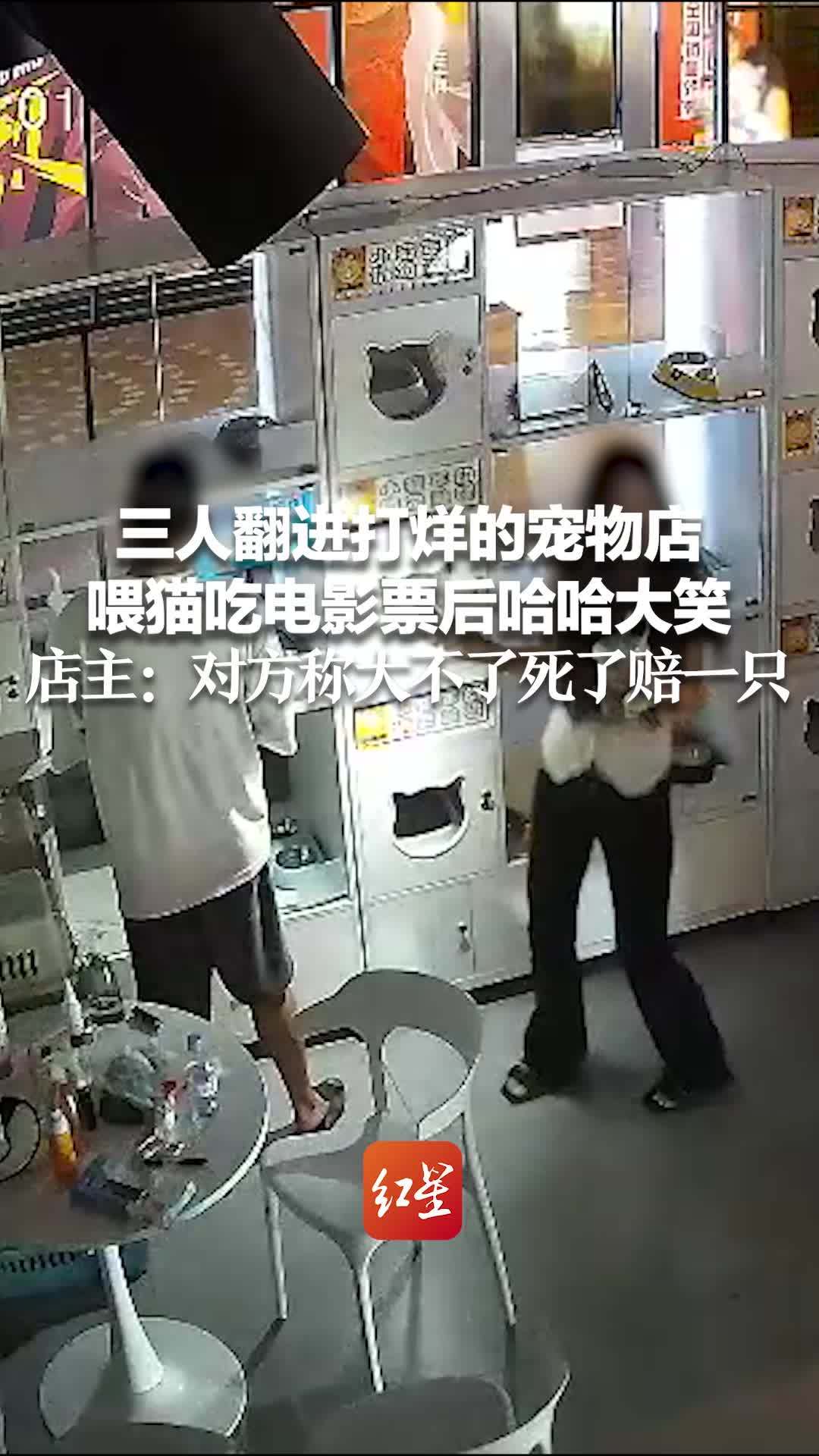 三人翻进打烊的宠物店 喂猫吃电影票后哈哈大笑 店主：准备洗胃 对方称大不了死了赔一只