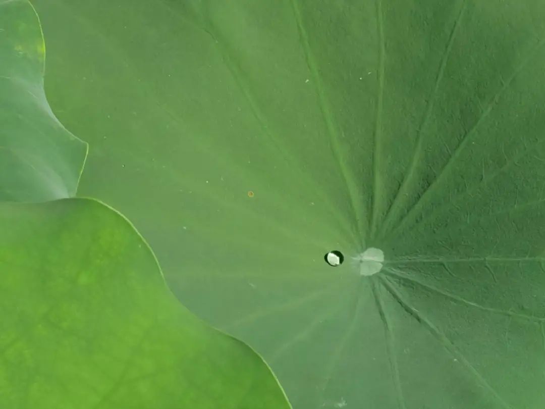 入口处的“繁花”二字看着很眼熟，一想，这不是和书封一样的风格吗。