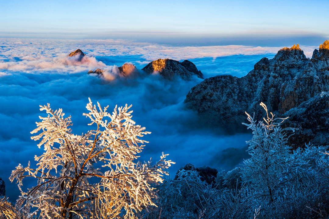 太行山王莽岭云海.jpg