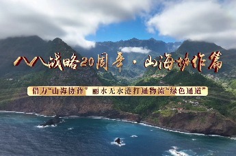 “八八战略”实施20周年·山海协作宁波实践(2)|借力“山海协作”，丽水无水港打通物流“绿色通道”