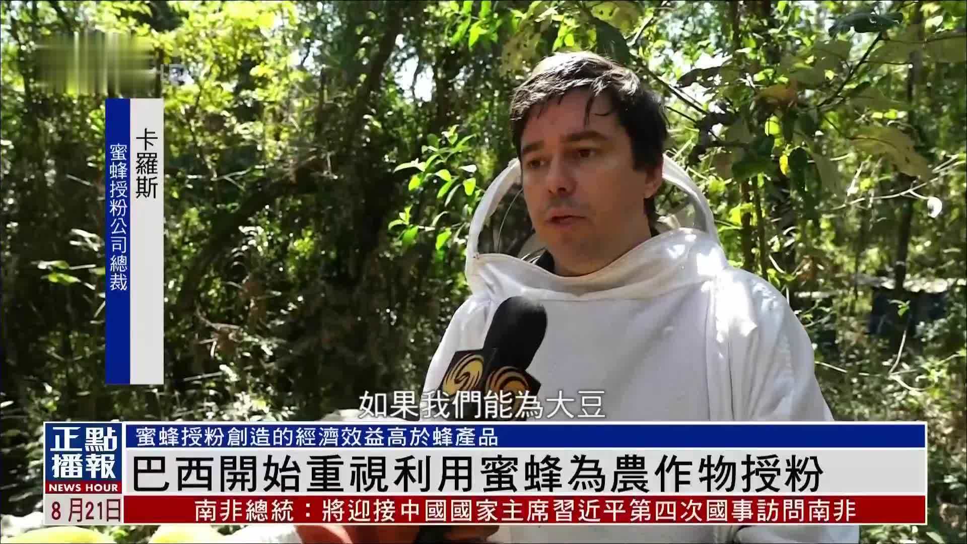 巴西开始重视利用蜜蜂为农作物授粉