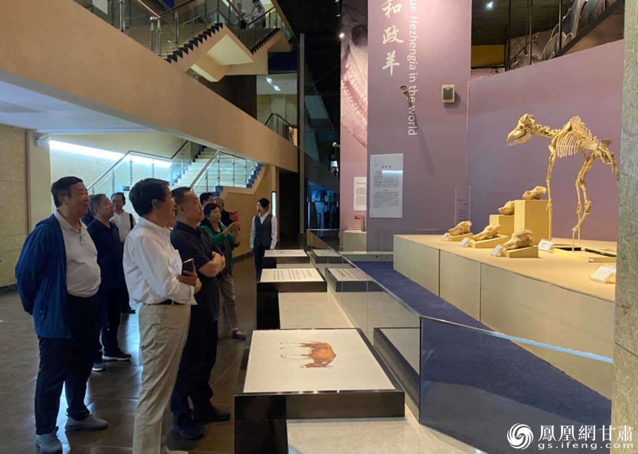 采风团参观和政珍稀自然遗产