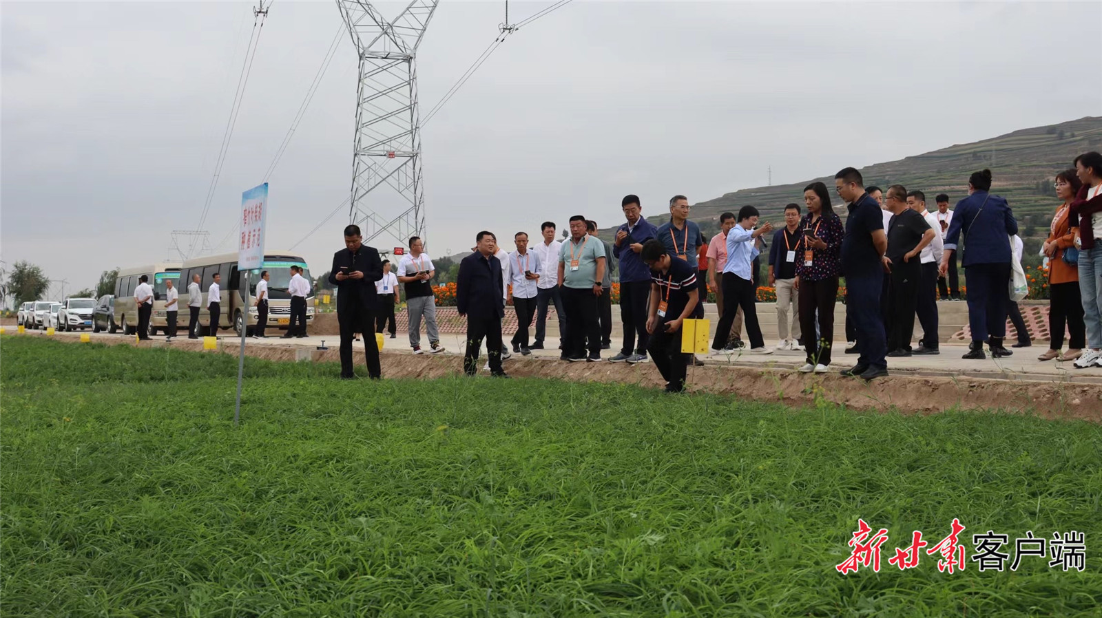 企业代表走进中药材种植基地进行考察