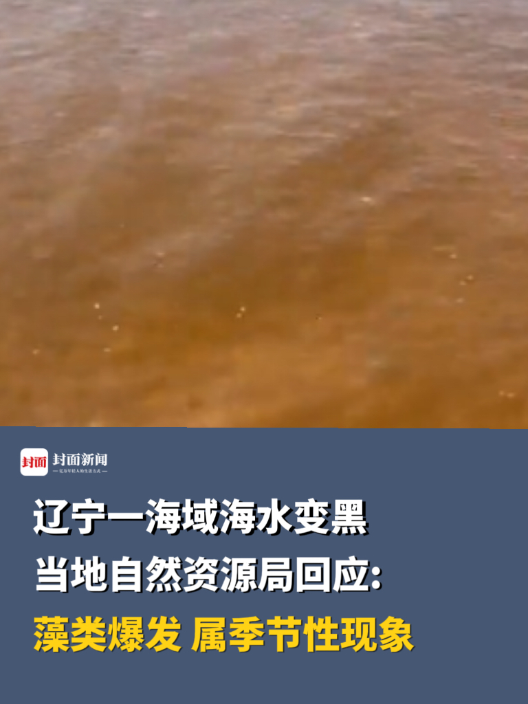 辽宁一海域海水变黑，当地自然资源局回应：藻类爆发，属季节性现象