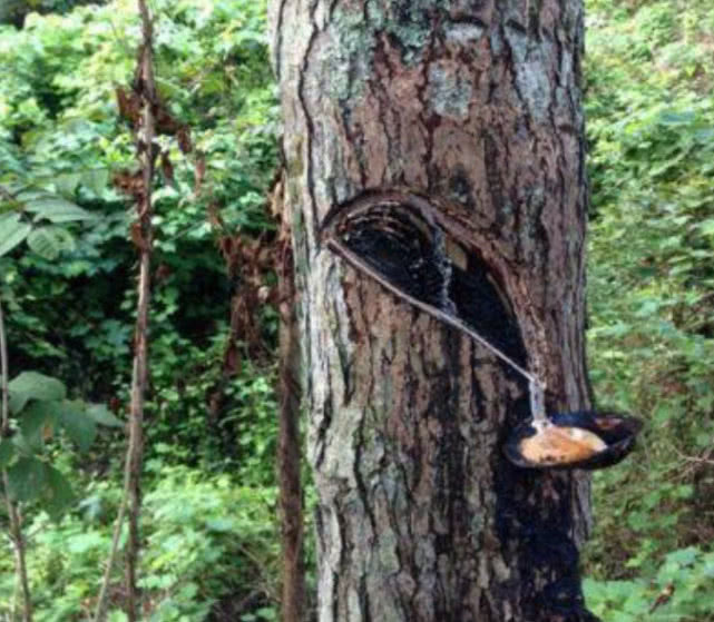 用时间镌刻一抹“中国红” 千年雕漆“遗”脉相承