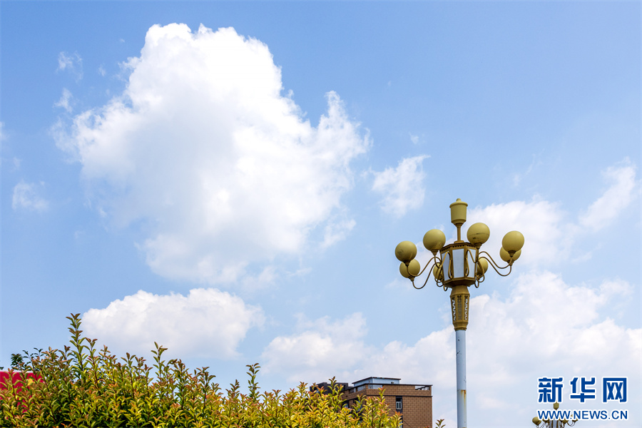 8月28日，河南省安陽市滑縣，雨后的天空飄過朵朵白云，十分漂亮。