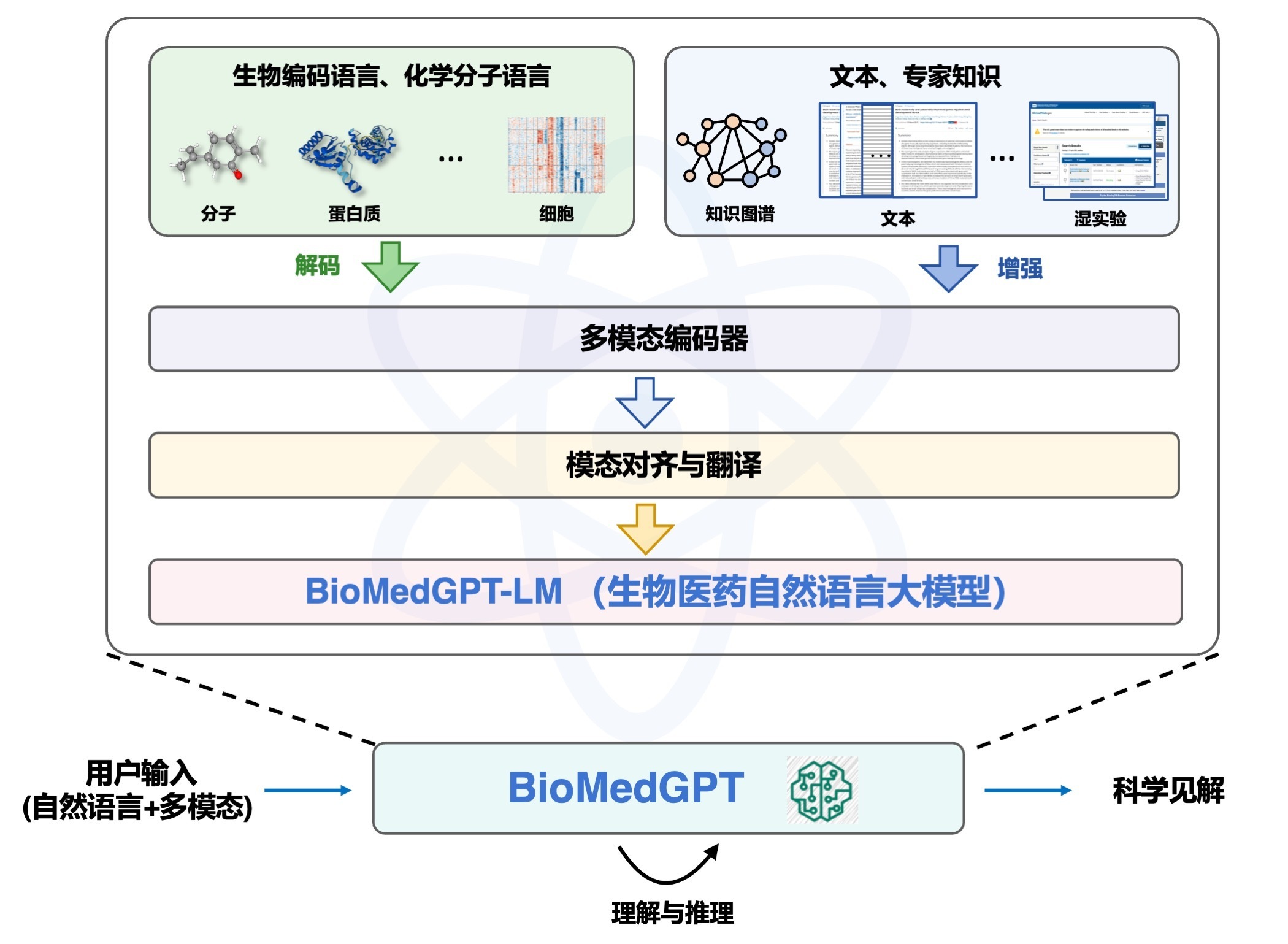 图源:水木分子