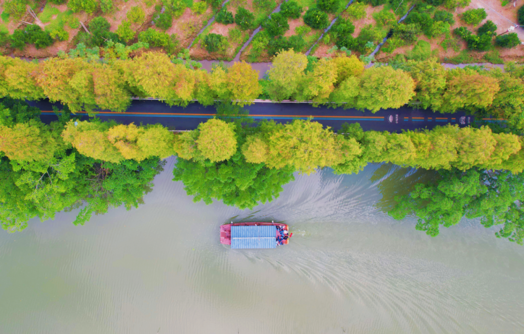 小鸟天堂碧道 张浩洋 摄