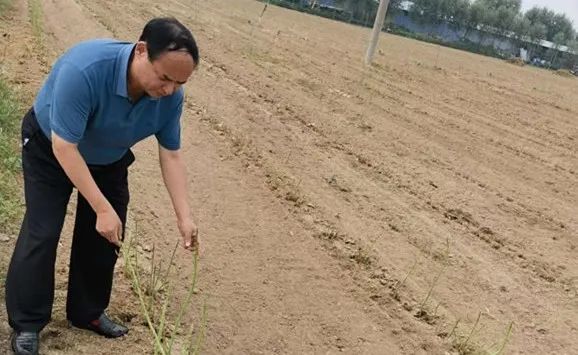 徐州新增10家省级乡土人才“大师”级工作室