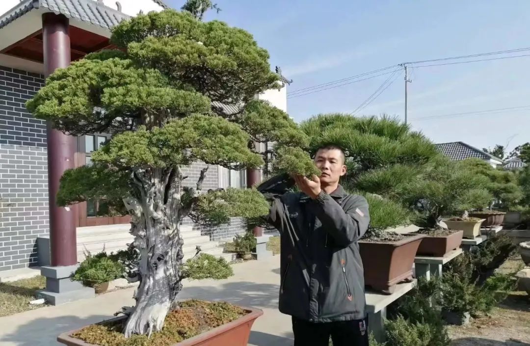 徐州新增10家省级乡土人才“大师”级工作室
